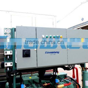 CHINA TOP1 Industrial Ice Machine For Sale 8 Tons Plate Ice Machine Ice Maker Price In Austrial