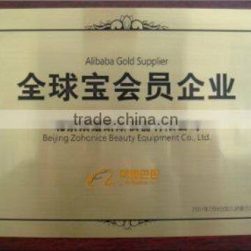 alibaba gold supplier