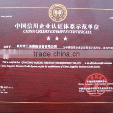 CHINA CREDIT EXAMPLE CERTIFICATE