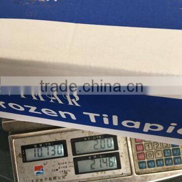 Farm Frozen Tilapia in Fujian photo-2