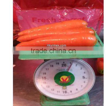 HKVIMEX'S Professional Supplier Bulk Fresh Carrots photo-2