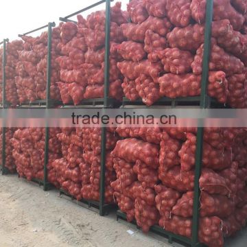 2015 crop fresh red onion for with cheap price shandong onions