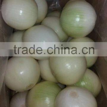 fresh peeled yellow onion for sale