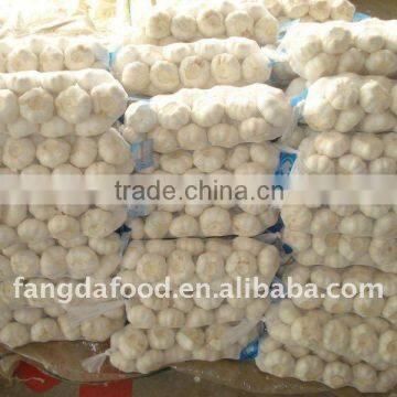 garlic price in china market