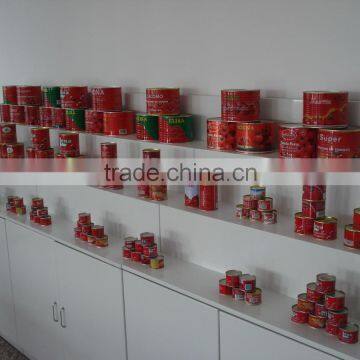 Tomato Paste