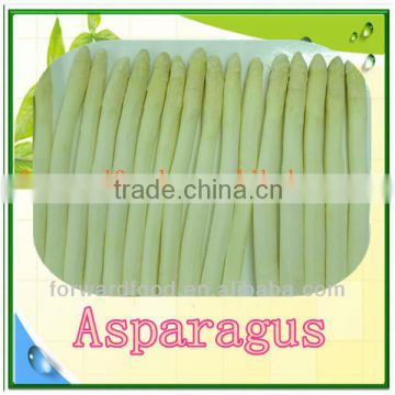 High Quality Canned White Asparagus Tip