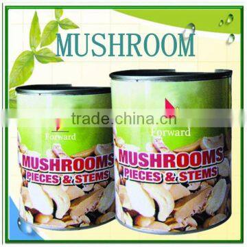 2840g Chinese best canned mushroom