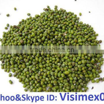 HIGH QUALITY GREEN MUNG BEAN (website&Yahoo: visimex06)