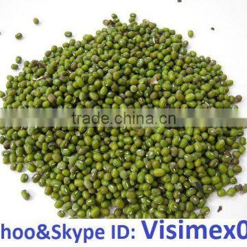 HIGH QUALITY GREEN MUNG BEAN (website&Yahoo: Visimex06)