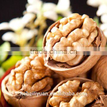 xinjiang walnut