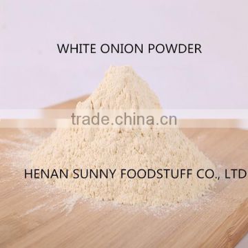 ONION POWDER PLANT