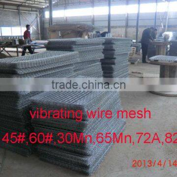 Square wire cloth for Germany, galvanized wire mesh (factory)