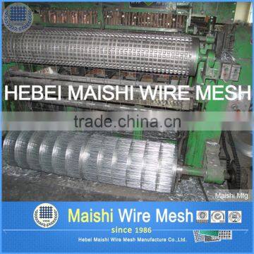 2016 Hot Sale Galvanized Welded Wire Mesh With Low Price photo-4