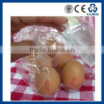 PP PS PE PET EGG Egg Tray Making Machine photo-6