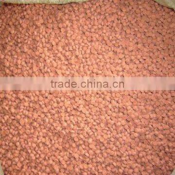 High Quality & Competitive Price Wood Plastic Granulating Machine photo-6