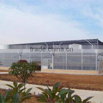 Widely Used Auto Temperature Controlling Multi Span Greenhouse photo-3