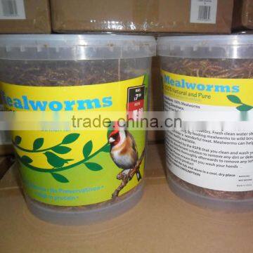 Wholesale Dried Mealworm photo-5