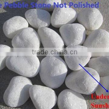 Snow White Pebble photo-3