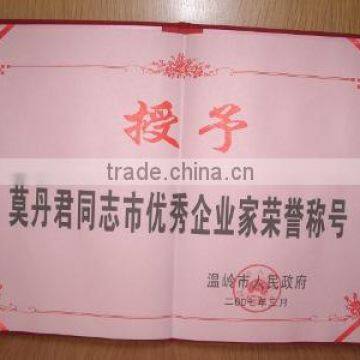 Excellent Enterpriser