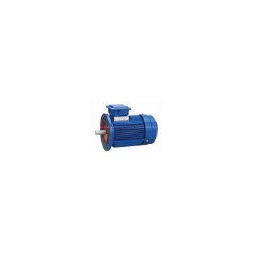 Western Standard IEC Aluminium Motors photo-2