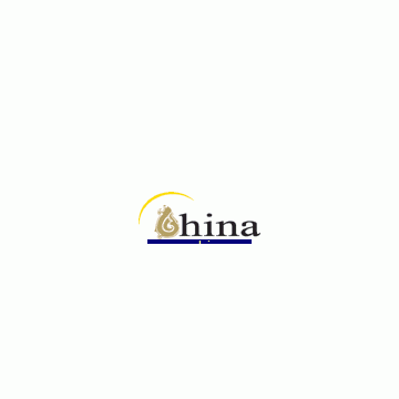 Bridging China International Limited