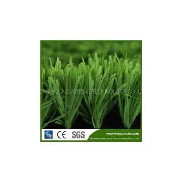 Fruit Green Football Grass