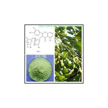 rutin,Rutin Extract,Rutin 95%,Sophora Japonica Extract,Rutin NF11,NF11 rutin