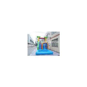 Attractive residential inflatable water slide With Small Pool For Funny
