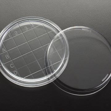 Plastic Injection Mold for Custom Laboratory Disposable Petri Dish photo-3