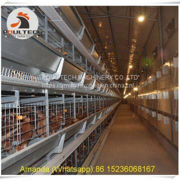 Mexico Poultry Chicken Farming - Battery Layer Chicken Cage & Chicken Coop & Hen Cage & Laying Hen Cage in Chicken House