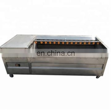 High efficiency fruit washing machine fruit washing and drying machine