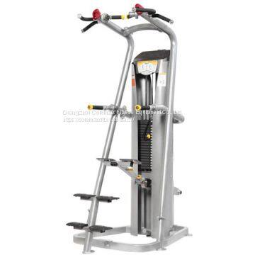 CM-219 Chin-Dip Assist Machine