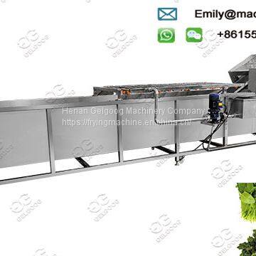 Leafy Vegetable Washing Machine