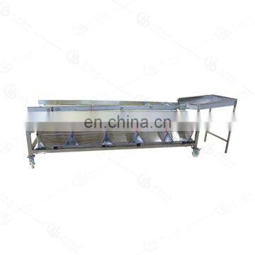 Industrial Mango Orange Apple Avocado Fruit Vegetable Washing Waxing Drying Grading Machine