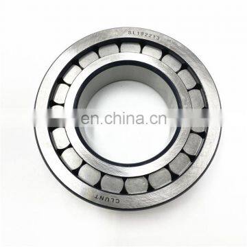Full Complement Cylindrical Roller Bearing Price List SL024918 Bearing photo-5