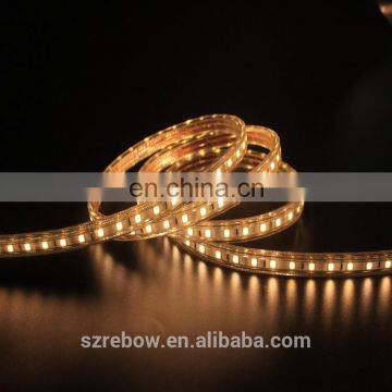 Rubber 100m Hydrophilic Strip Indoor/outdoor Led Rope Light 220v 230v 240v photo-4