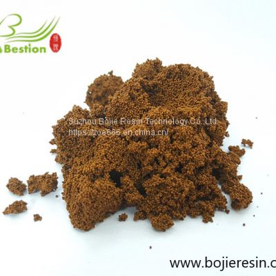 Lipase immobilization resin