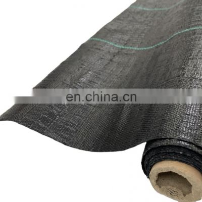 100% PP Black Ground Cover Agricultural Plastic Net Protection Vegetable Mat Landscape Fabric Geotextiles