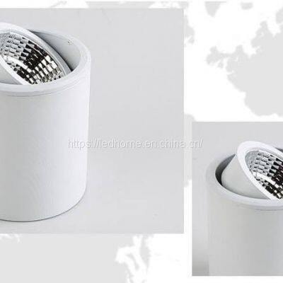 Surface Adjustable COB LED Down Lights (12W) photo-3