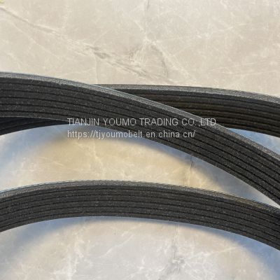 Poly ribbed V- belt --Automotive fan belt