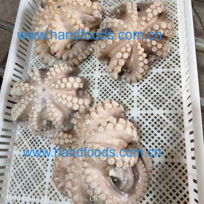 Frozen Fully Cleaned Gaint Octopus photo-2
