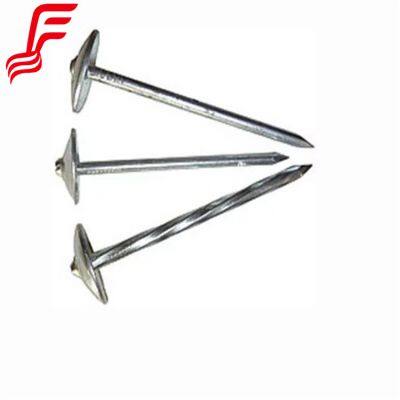 Supply Galvanized Corrugated Sheet Nails Hot Sale Twisted Shank Umbrella Head Roofing Nails photo-1