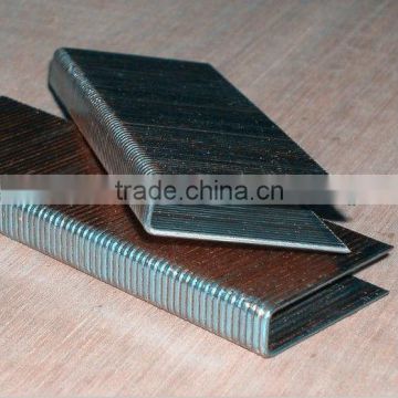 BCS4 staples. similar to BOSTITCH brand,from Chaoyue Hardware