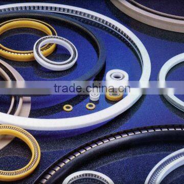 Spring Energized PTFE Seals