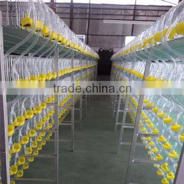 china new design best selling quail cage and water system