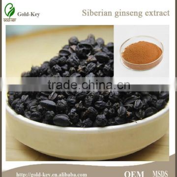 Natural Plant Extract Hot Sale Siberian Ginseng Extract Powder for Insomnia and Dreaminess