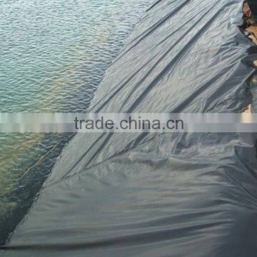 shrimp farming film