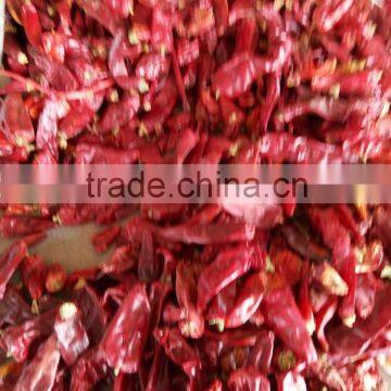 Chinese Best Quality Pepper Nail Clean Machine photo-2