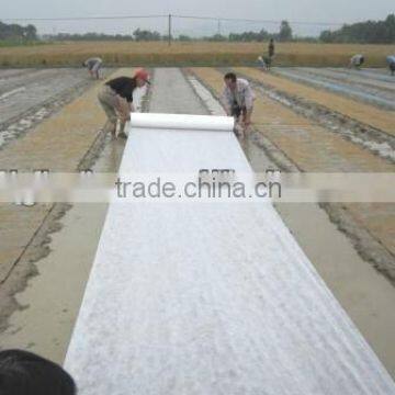 Hot Sale Root protection pp non woven fabric