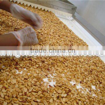 Peanut Manual Sorting Belt Nut Picking Sorter Grain Sorting Equipment photo-5